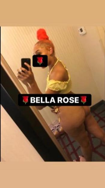 Goddess, 25  female escort, Chicago