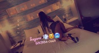 Sugar, 21  female escort, Chicago