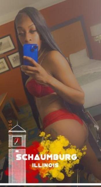 2244770779, female escort, Chicago