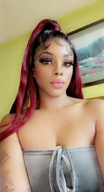 3313485111, female escort, Chicago